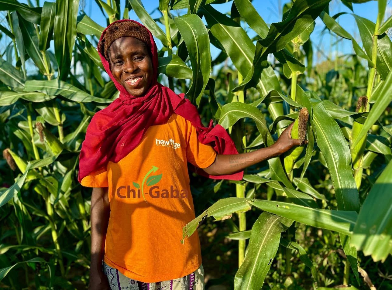 Chi-Gaba Maize